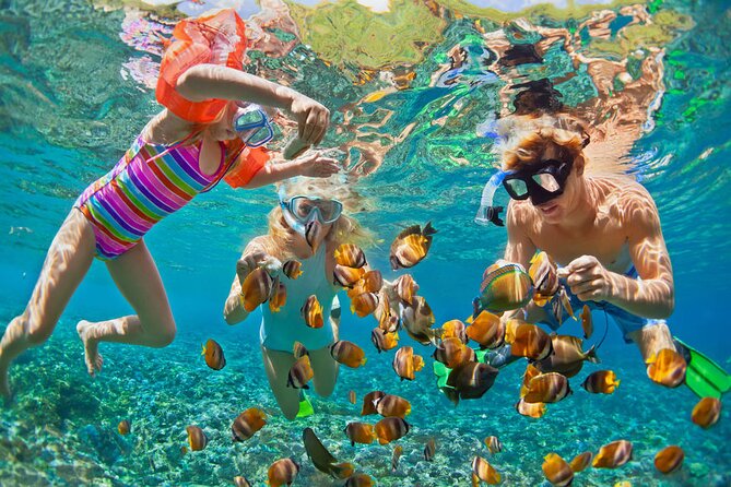 Hurghada Paradise Conquest Semi Submarine Snorkeling Trip - At a glance