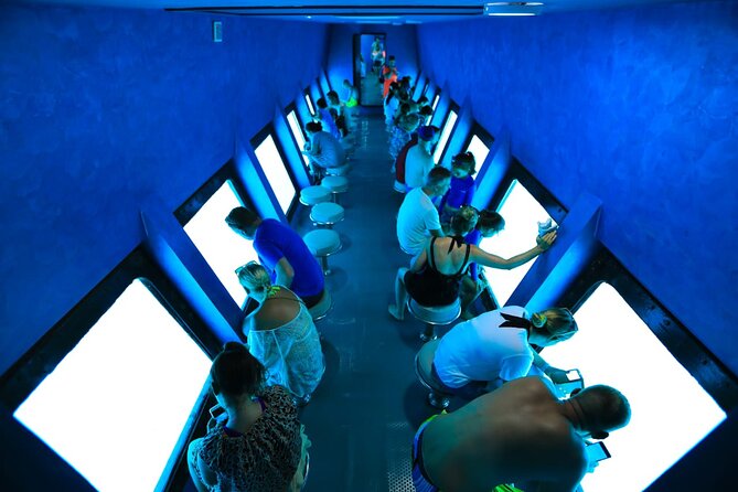 Hurghada Paradise Conquest Semi Submarine Snorkeling Trip - What the Hurghada semi-submarine trip is really like