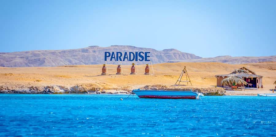 Hurghada: Paradise Speedboat w/ Optional Snorkeling & Lunch - Snorkeling over Red Sea coral