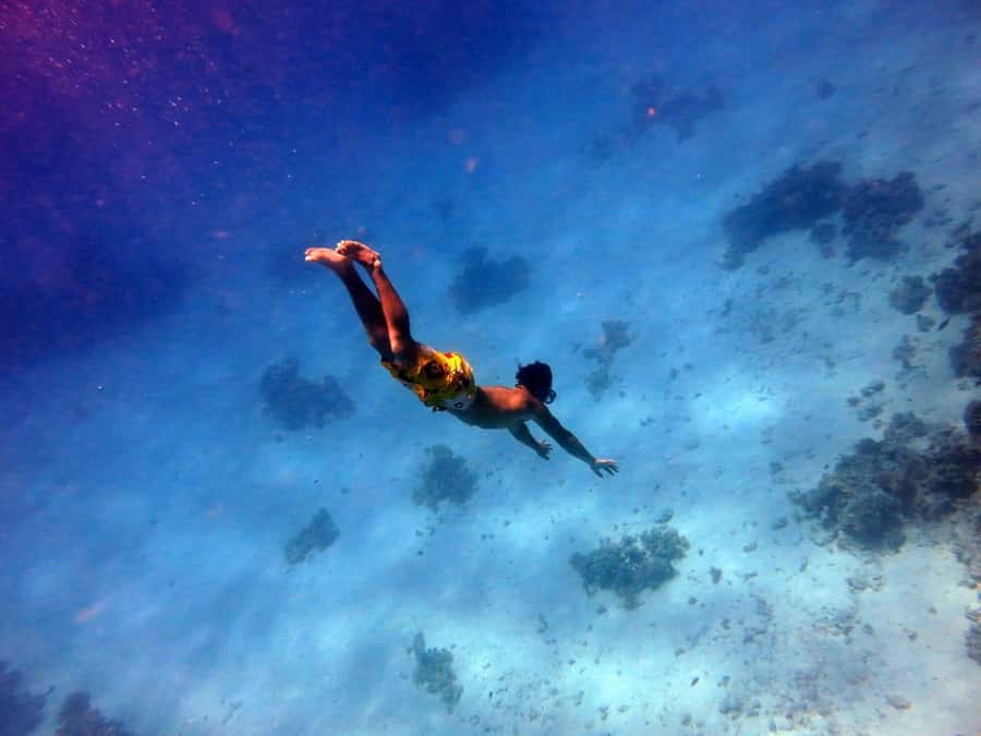 Hurghada: Premium Island Cruise with Lunch and snorkeling - Key points to know before booking