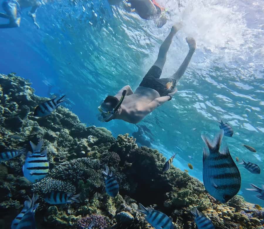 Hurghada: Premium Orange Island Cruise with Lunch & Transfer - Orange Bay: two hours on white sand