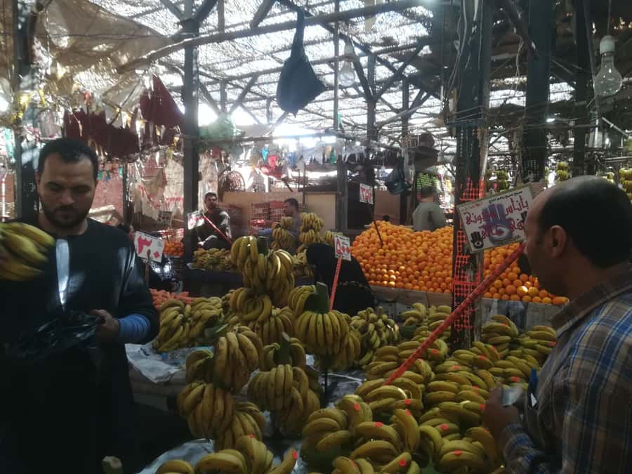Hurghada: Private Guide City Tour & Shopping Stop - Starting at the New Marina