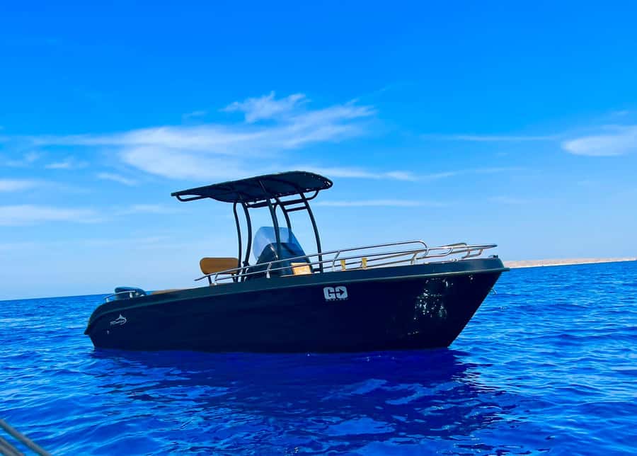 Hurghada: Private Speedboat Adventure with Snacks & Pick-up - Dolphin watching with realistic expectations