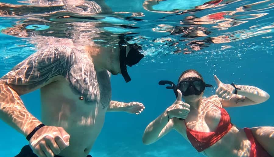 Hurghada: Private Speedboat to Dolphin House with Pickup - Searching for dolphins without expecting a guarantee