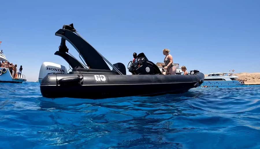 Hurghada: Private Speedboat to Dolphin House with Pickup - The shipwreck provides a strong final stop