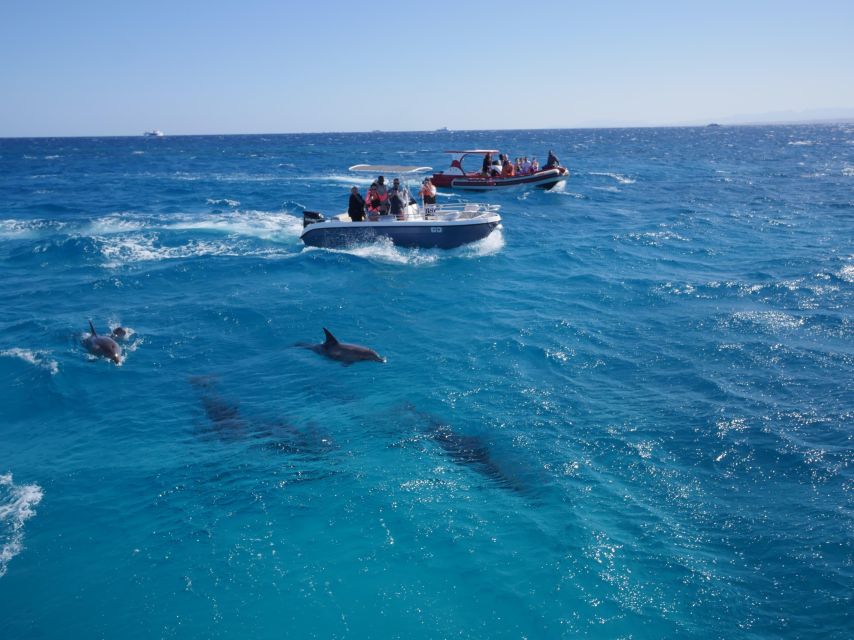 Hurghada: Private Speedboat to Orange Bay and White Island - Who will enjoy this most?
