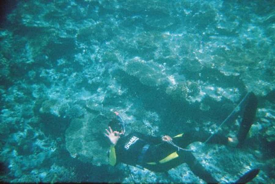 Hurghada, Professionals Diving in Open Water Tour with Lunch - First scuba session, with an instructor close by