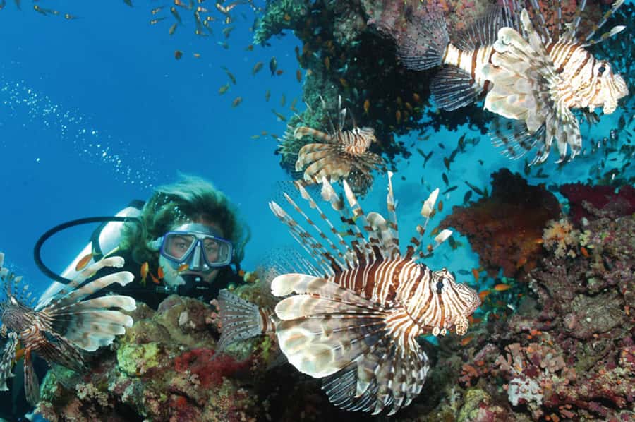 Hurghada, Professionals Diving in Open Water Tour with Lunch - Who should book this Hurghada trip