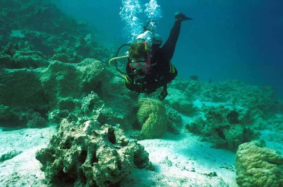 Hurghada, Professionals Diving in Open Water Tour with Lunch - The 40-minute cruise across the Red Sea