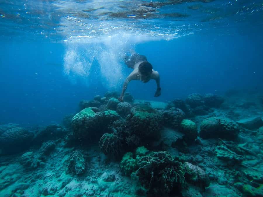Hurghada: Royal Orange Bay with Massage, Snorkeling & Lunch - From hotel pickup to the Hurghada marina