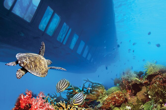 Hurghada: Royal Seascope Submarine Cruise with Snorkel Stop - The 45-minute view from three meters below