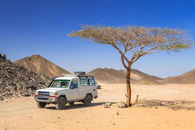 Hurghada: Safari 4x4 Jeep, Camel Ride, Dinner & Star Watching - A candlelit barbecue as the sky darkens