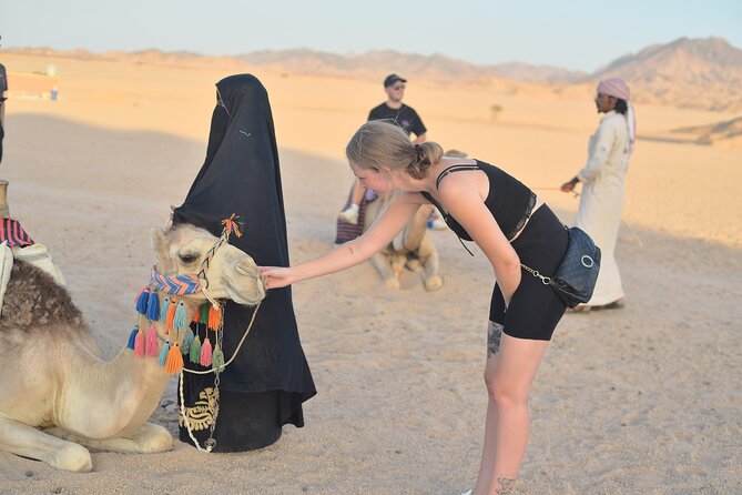 Hurghada: Safari 4x4 Jeep, Camel Ride, Dinner & Star Watching - Language, group size, and comfort