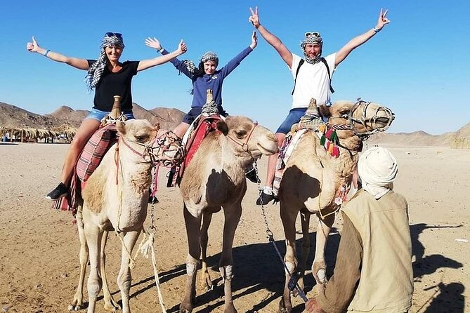 Hurghada Safari Trip Quad, Buggy, Jeep, Camel, Dinner, and Show - Key points to know before you book