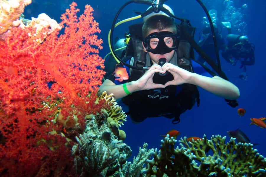 Hurghada: Scuba Diving cruise with lunch & pickup - From your Hurghada hotel to the marina