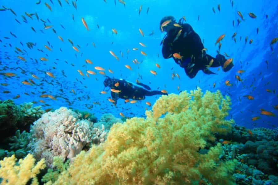 Hurghada: Scuba Diving cruise with lunch & pickup - The main strengths and the rough edges