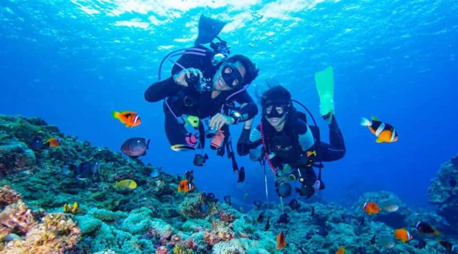Hurghada: Scuba Diving cruise with lunch & pickup - Choosing the right underwater option