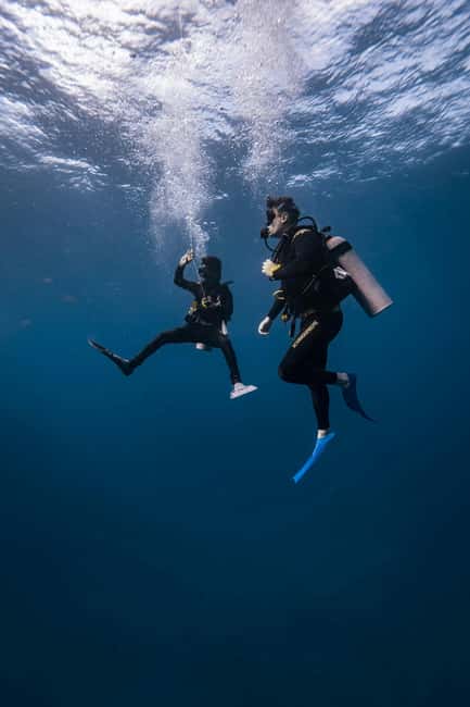 Hurghada: Scuba Diving for Beginners & Certified Divers - Who should book this Hurghada trip?