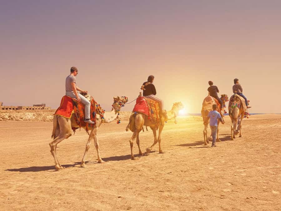 Hurghada: Sea & Desert Camel Ride w/Dinner, Show, Stargazing - What makes this Hurghada camel ride worth considering