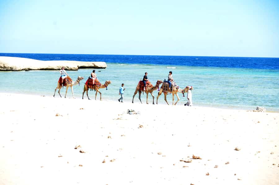 Hurghada: Sea & Desert Camel Ride w/Dinner, Show, Stargazing - Who will enjoy this most