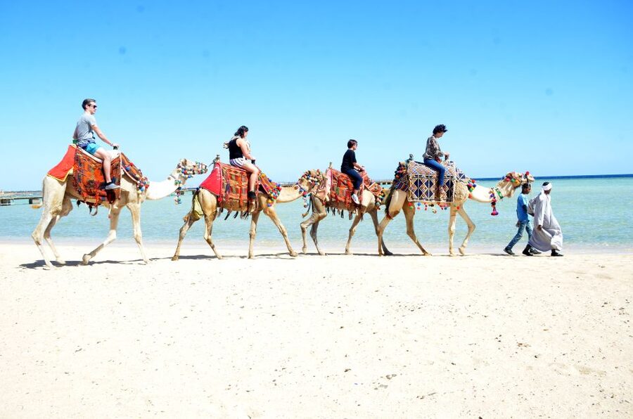 Hurghada: Sea & Desert Camel Ride w/Dinner, Show, Stargazing - Comfort: what to wear and what to carry