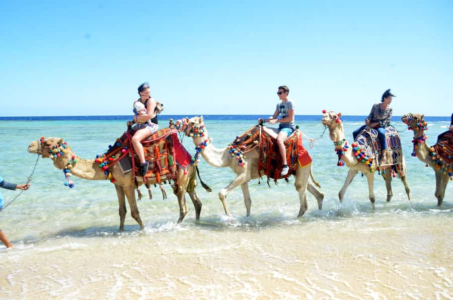 Hurghada: Sea & Desert Camel Ride w/Dinner, Show, Stargazing - How the $26 price compares with the experience