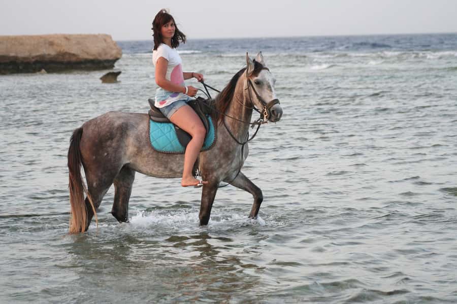 Hurghada: Sea & Desert Horse Tour, Stargazing, Dinner & Show - Quick points before you book
