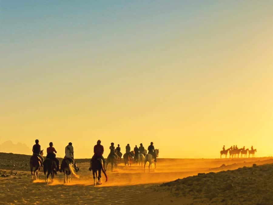 Hurghada: Sea & Desert Horse Tour, Stargazing, Dinner & Show - The two-hour desert and seaside ride