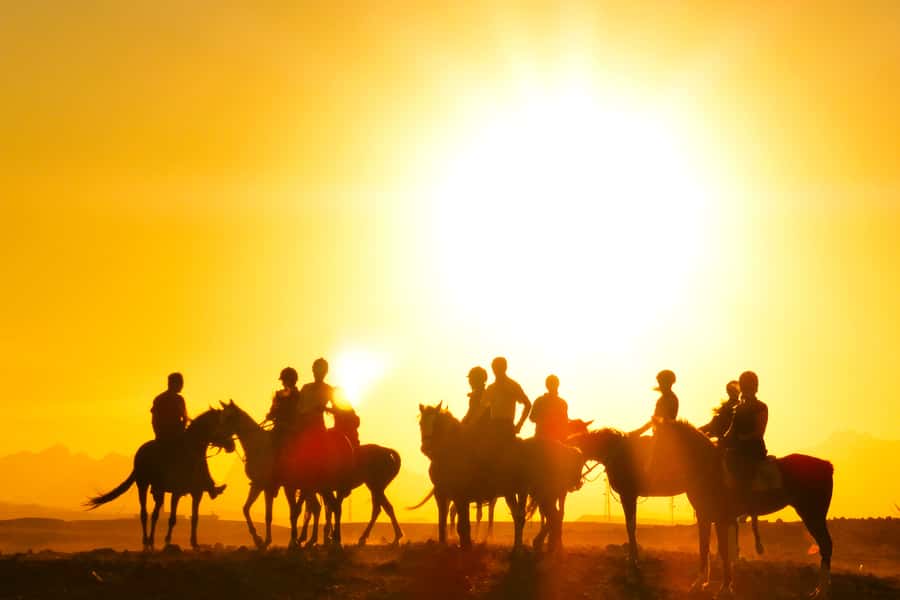 Hurghada: Sea & Desert Horse Tour, Stargazing, Dinner & Show - Sunrise, breakfast, and the cooler start
