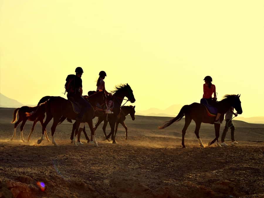 Hurghada: Sea & Desert Horse Tour, Stargazing, Dinner & Show - Quad bikes and other package choices