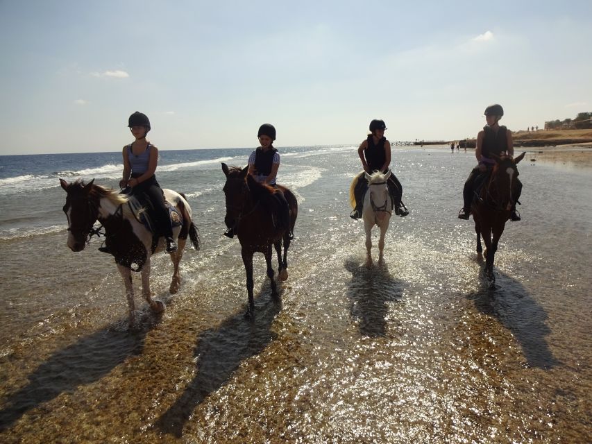 Hurghada: Sea & Desert Horse Tour, Stargazing, Dinner & Show - Price and value at $20