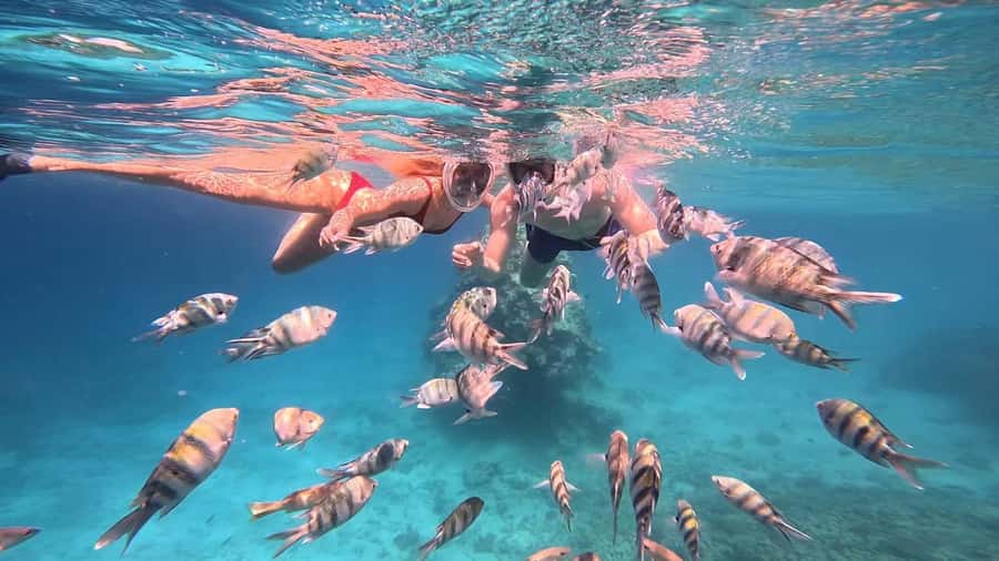 Hurghada: Snorkelling Trip by Speedboat with Hotel Pickup - Dolphins and responsible wildlife watching