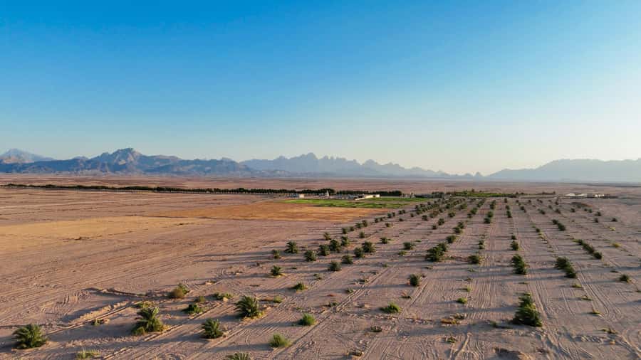 Hurghada: Star Stargazing Desert Adventure by Jeep & Dinner - Guides, drivers, and the human side of the evening
