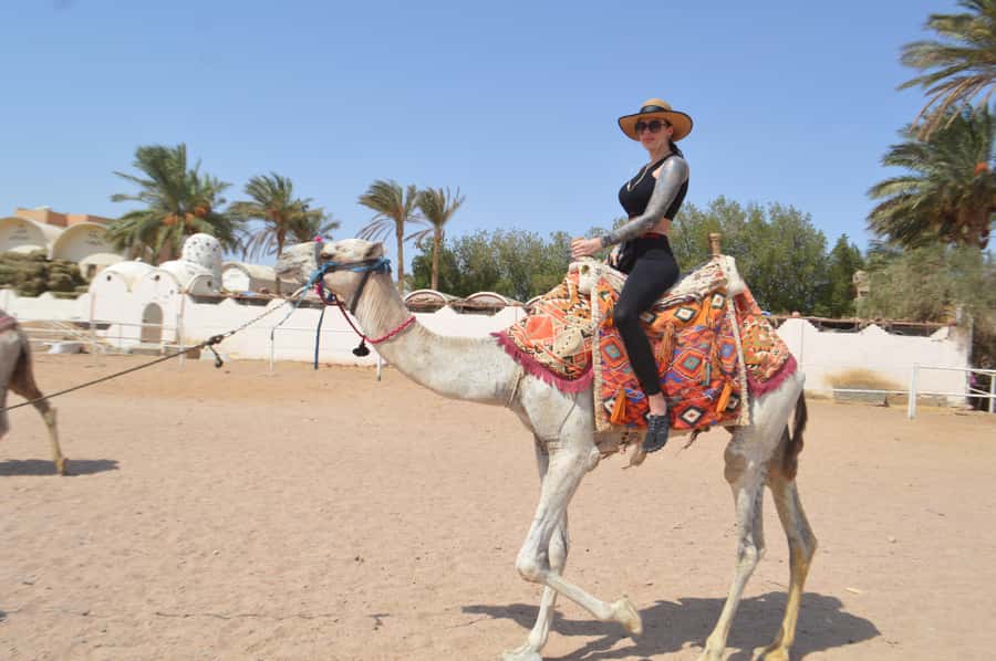 Hurghada: Sunrise Quad Bike, Camel and Oriental Breakfast - Other versions if sunrise is not for you