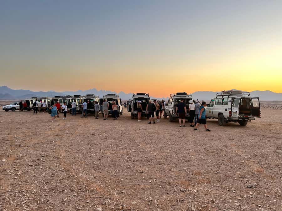 Hurghada: Sunset Camel Ride with Dinner - What $52 buys you
