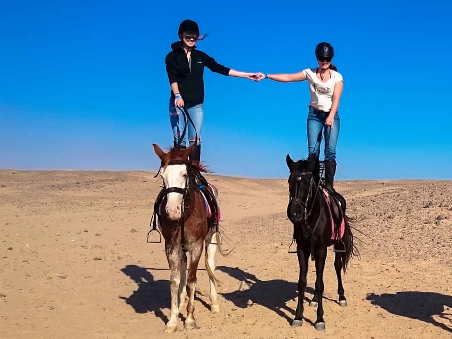 Hurghada: Sunset Sea, Desert Horse W Opt, Dinner, Stargazing - Who should book this experience?