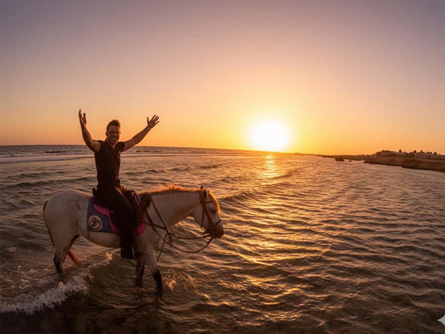 Hurghada: Sunset Sea, Desert Horse W Opt, Dinner, Stargazing - What the Hurghada horse ride actually offers