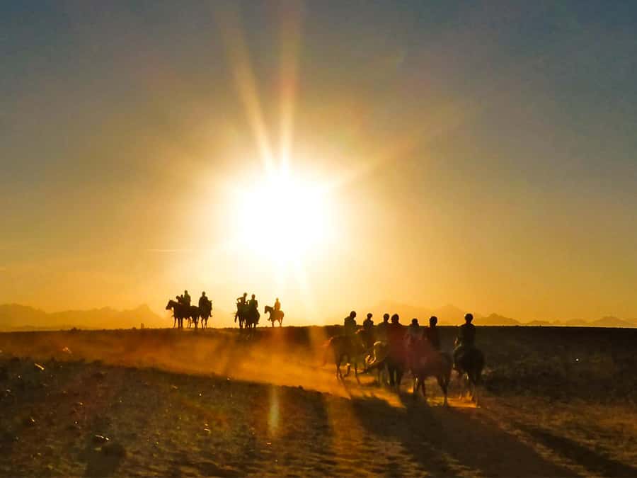 Hurghada: Sunset Sea, Desert Horse W Opt, Dinner, Stargazing - Sunset on the desert and Red Sea coast