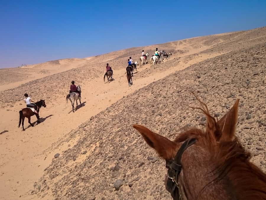 Hurghada: Sunset Sea, Desert Horse W Opt, Dinner, Stargazing - Dinner, dancing, and stargazing after dark