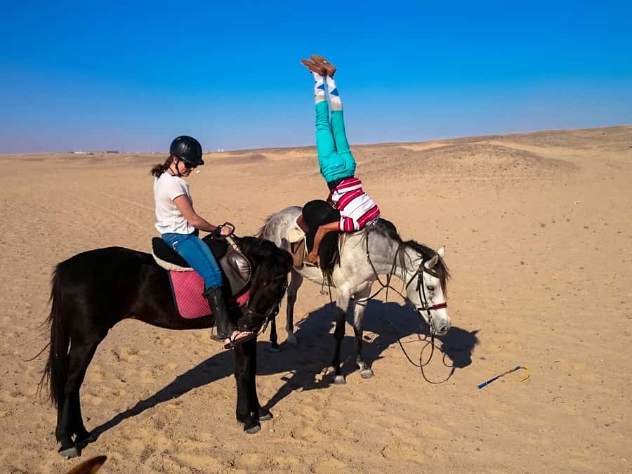 Hurghada: Sunset Sea, Desert Horse W Opt, Dinner, Stargazing - Sunrise, breakfast, and swimming choices