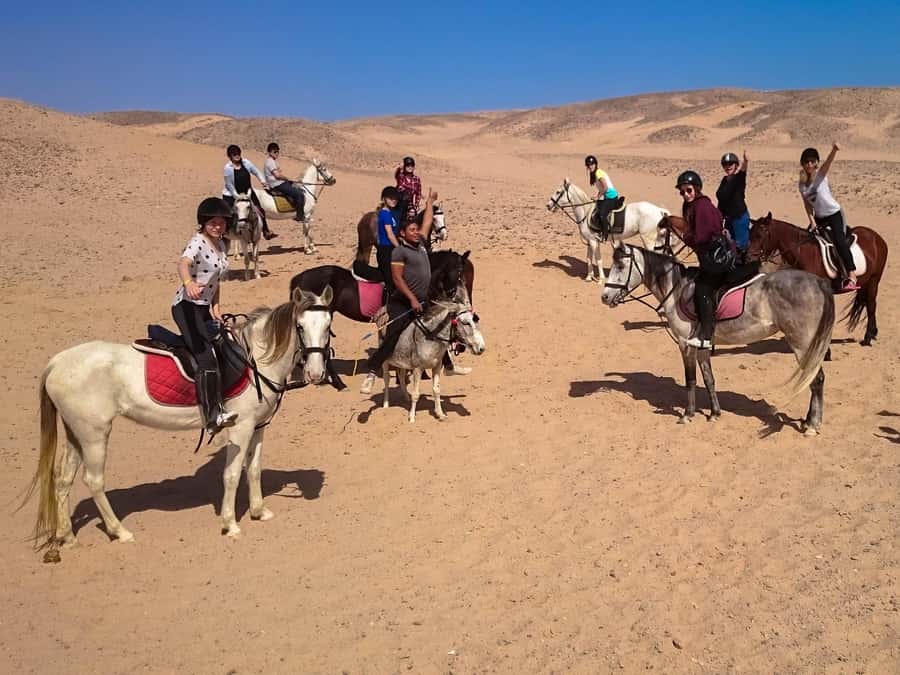 Hurghada: Sunset Sea, Desert Horse W Opt, Dinner, Stargazing - Transport from Hurghada, Sahl Hasheesh, Safaga, and Makadi Bay
