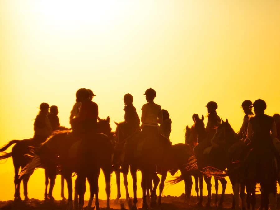 Hurghada: Sunset Sea, Desert Horse W Opt, Dinner, Stargazing - Is $29 good value?