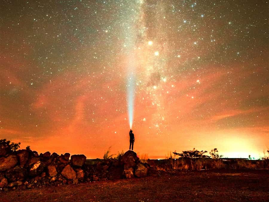 Hurghada: Sunset Sea, Desert Horse W Opt, Dinner, Stargazing - Meeting the horses and finding your confidence