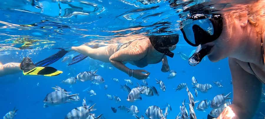 Hurghada: White Island Speedboat Tour, Snorkeling, & Lunch - What the $180 price means