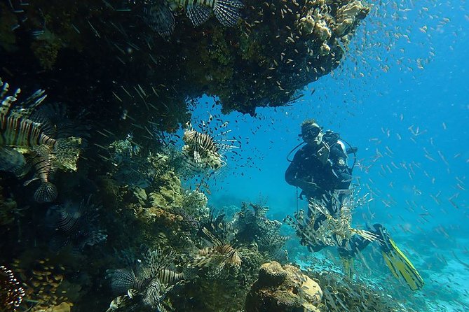 Intro Diving 2 Stops For Beginners with Pick-up and Lunch - Hurghada - Safety, instruction, and the group size
