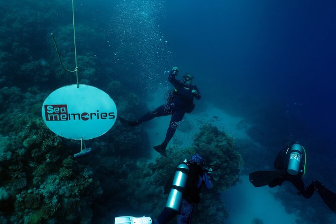 Intro Diving 2 Stops For Beginners with Pick-up and Lunch - Hurghada - Hotel pickup and the morning start