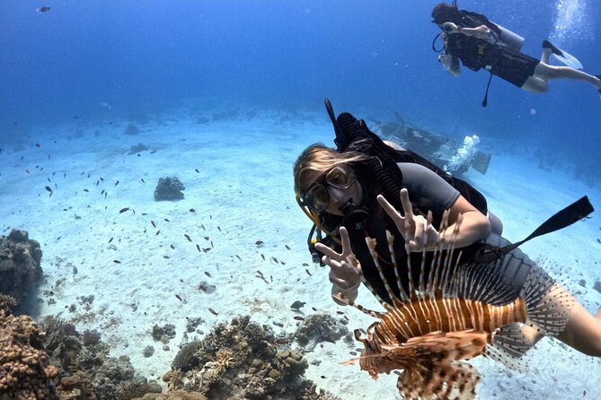Intro Diving Beginner and Discover Red Sea Underwater - Group size, languages, and the human side