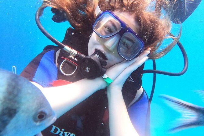Intro Diving Beginner and Discover Red Sea Underwater - The first 20-minute Red Sea session