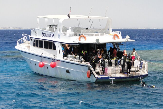 Intro Diving for Beginners 2 Stops Diving with Lunch - Hurghada - Who will enjoy this Red Sea outing most