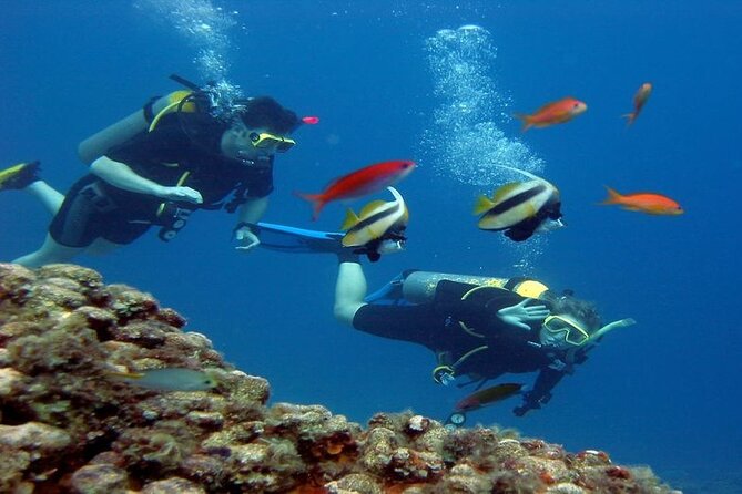 Intro Diving for Beginners 2 Stops Diving with Lunch - Hurghada - Lunch on the boat keeps the schedule simple